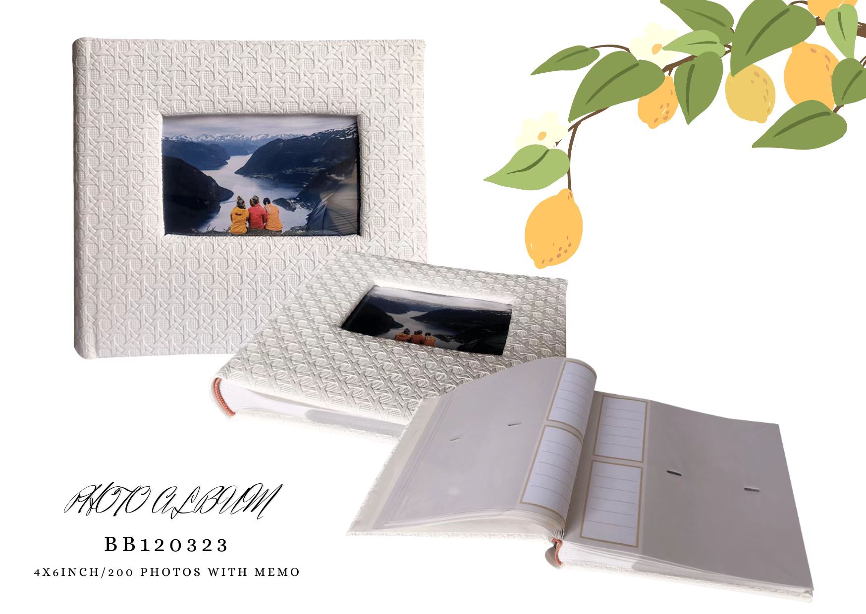 Wedding album 500 photos ring binder