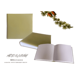 Jumbo Album Collection Book 30x30cm Pergamin Pages