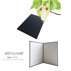 Bi Fold Album 2 Photo Display Frame 5"x7"