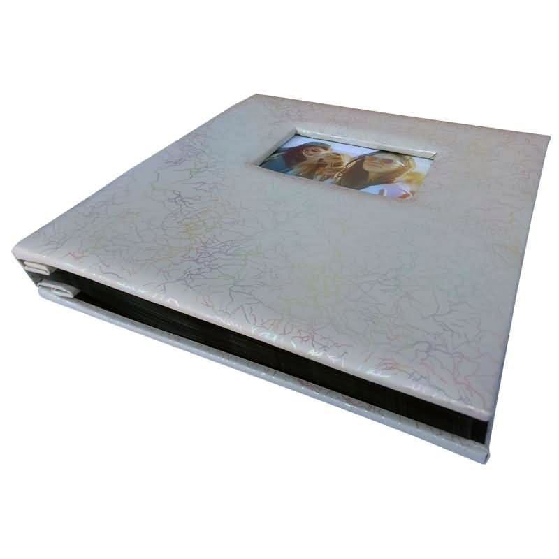 ALBUM 3156