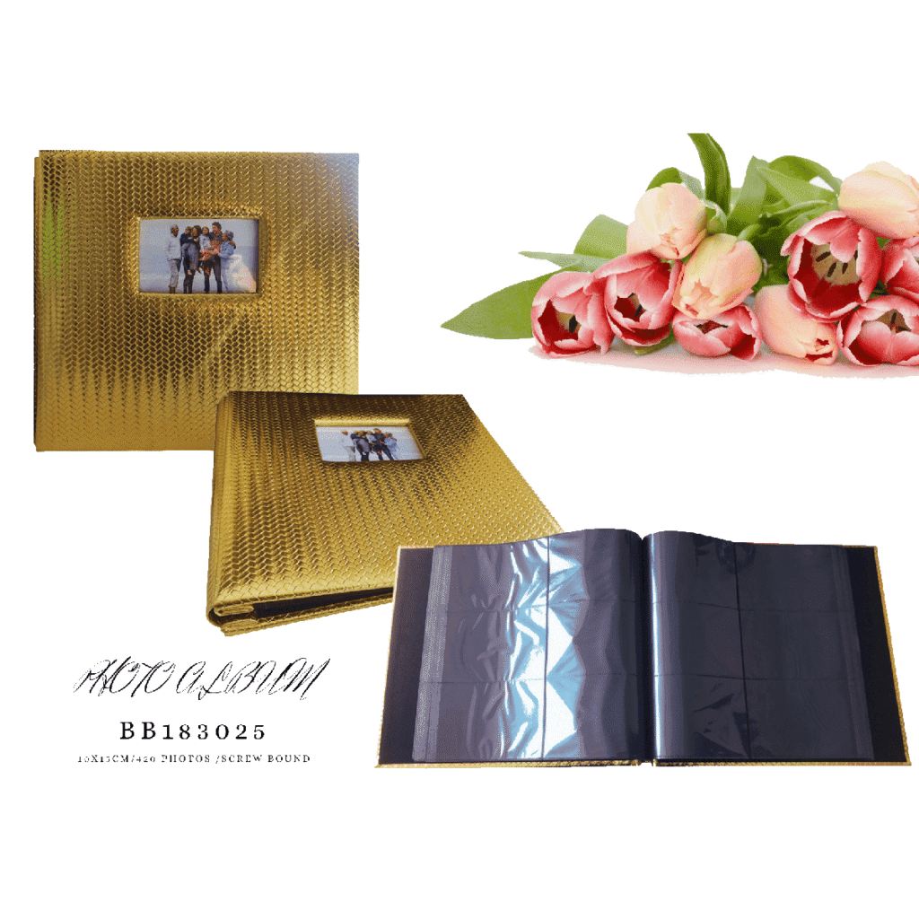 Extra Large Capacity Golden Album 420 Slots 4R