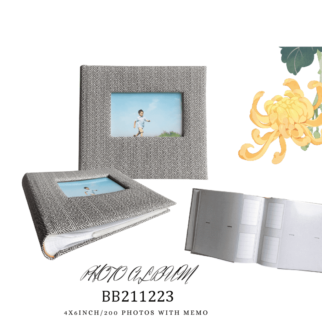 Modern Stripe Leather Album 200 Memo Pocket 4R