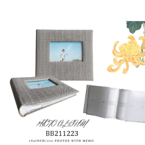 Modern Stripe Leather  Album 200 Memo Pocket 4R