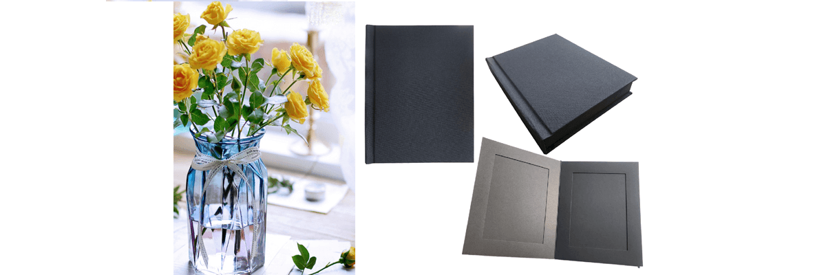 The Enduring Appeal: