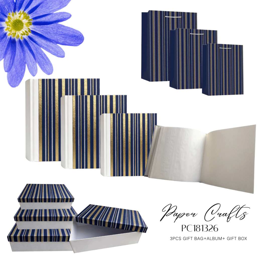 Blue Stripe 3pcs Gift Package Box and Bag Set