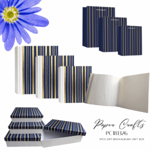 Blue Stripe 3pcs Gift Package Box and Bag Set