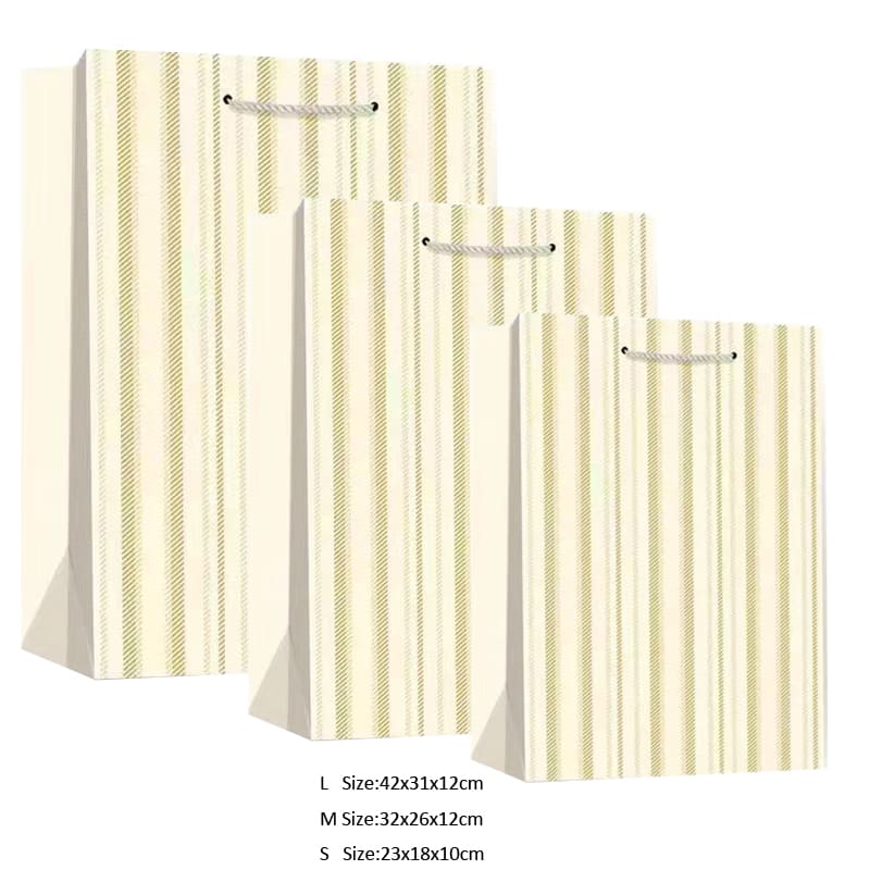 Gift Paper Bag with String
