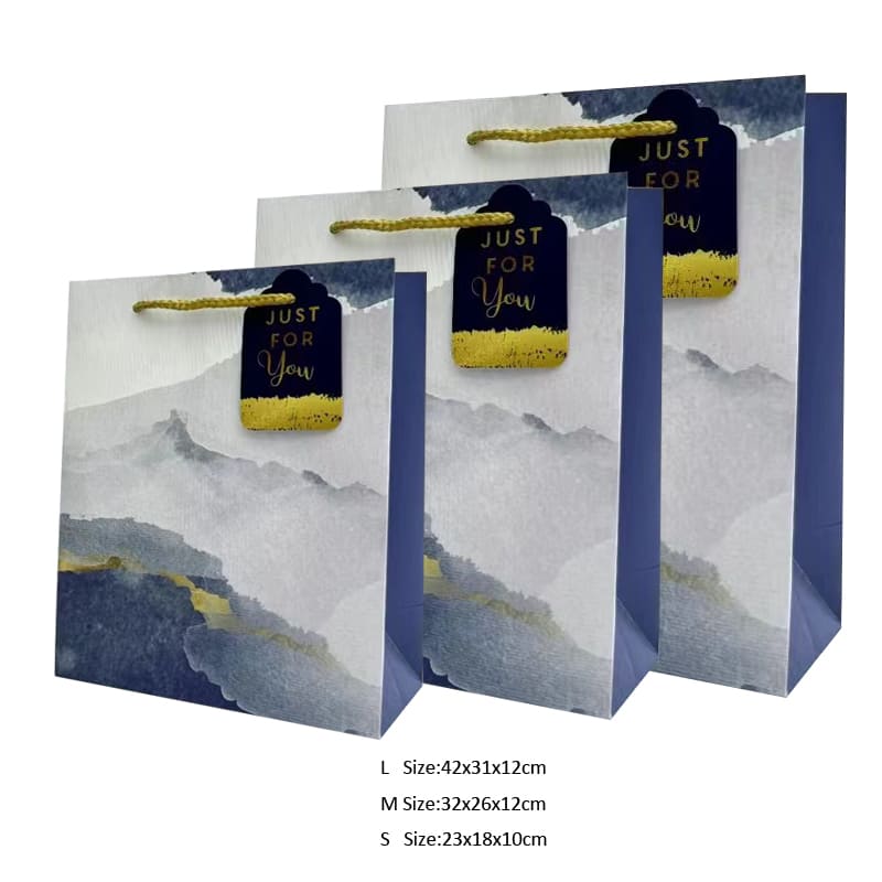 Fancy Paper Gift Bag