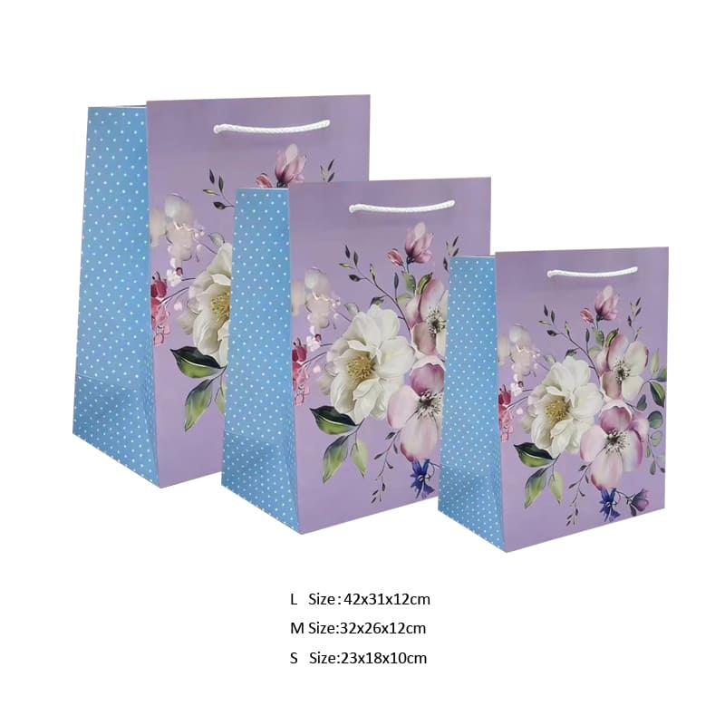 Paper Gift box for holiday