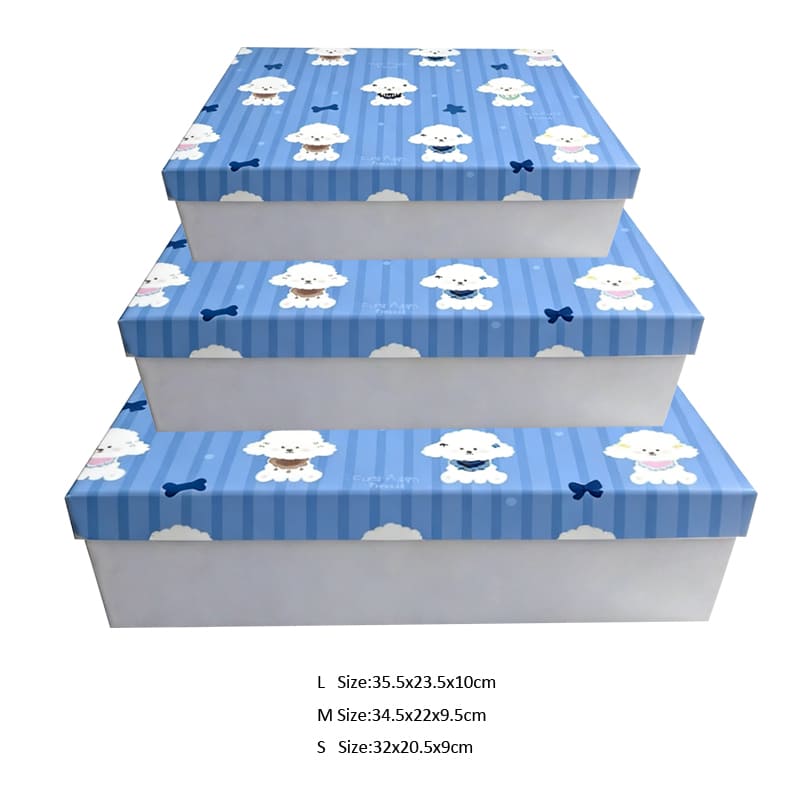 Paper shoe box with lid